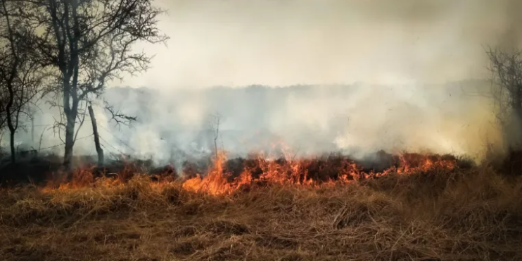 Junín: Agricultor muere en incendio forestal que él mismo provocó al querer quemar pastos